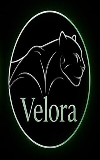 Шлюха Velora 46434